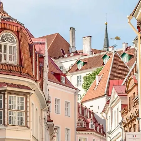 August * Tallinn